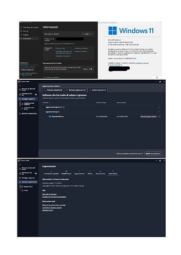 Screen CCleaner Bug